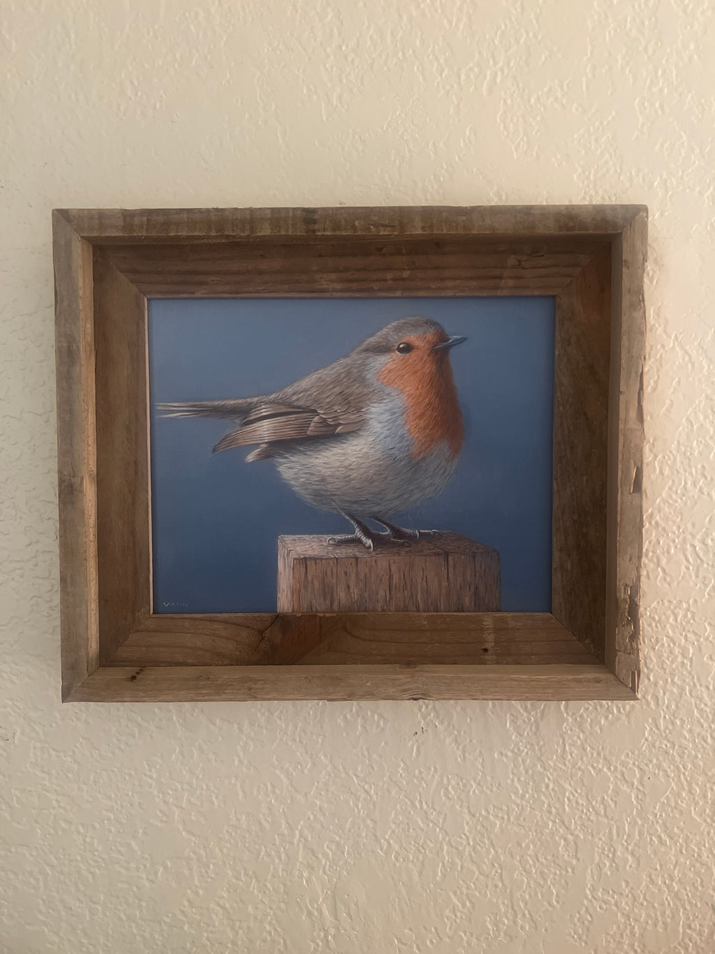 “Plump Robin”