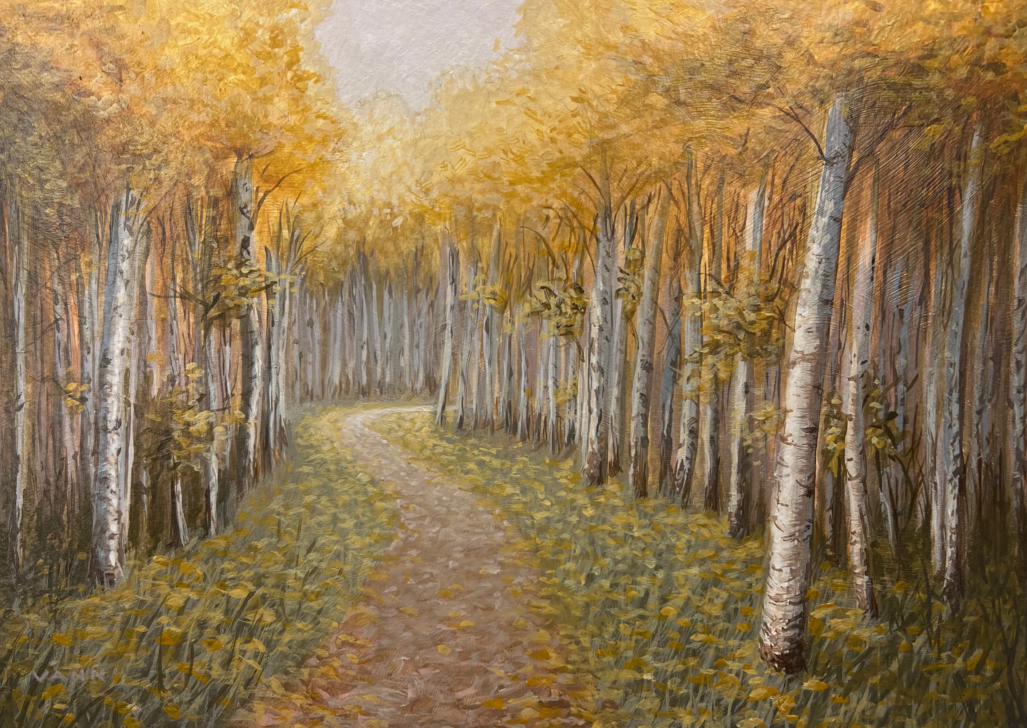 “Walk In The Woods”