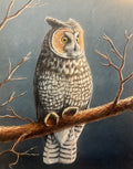 “Watchful”