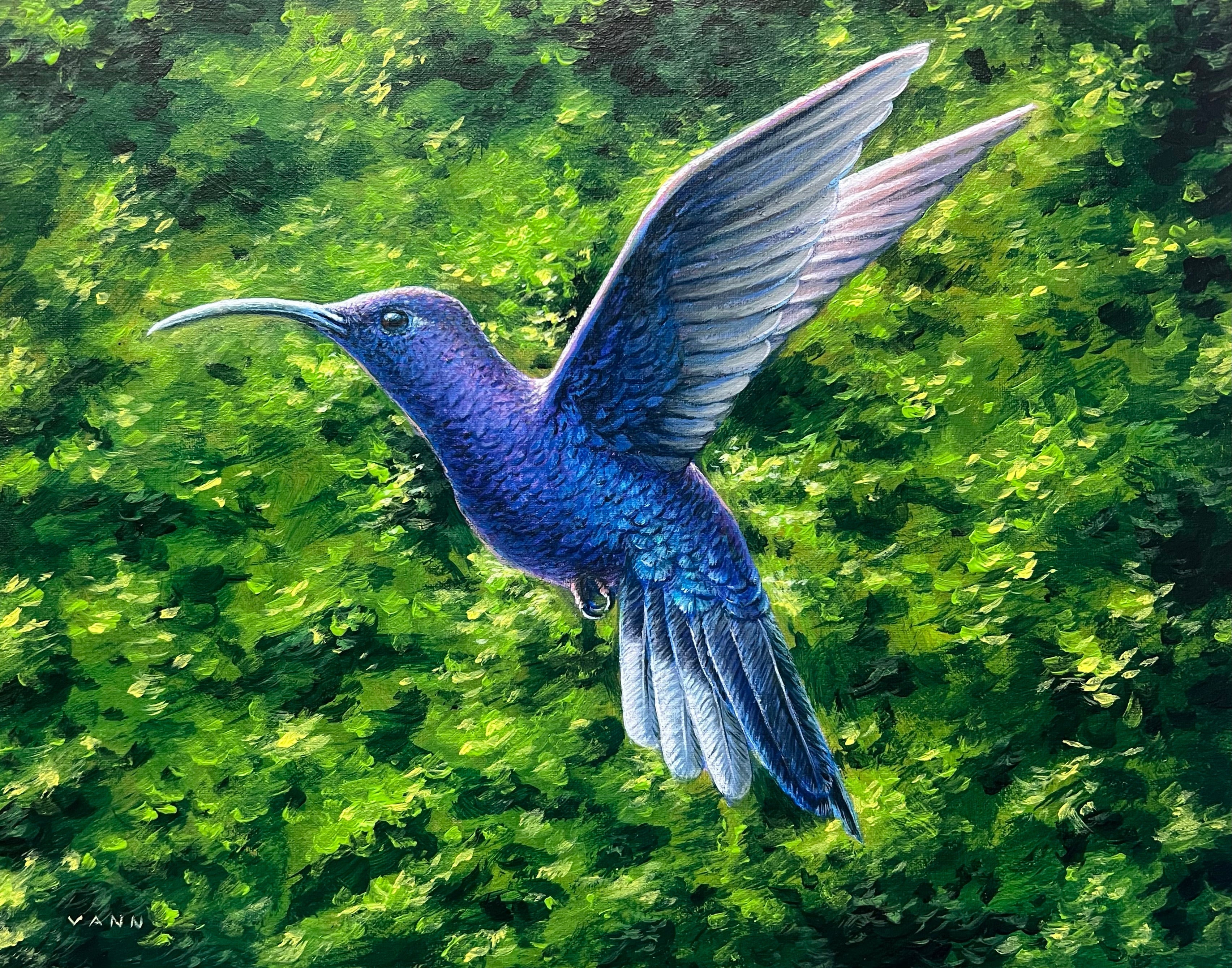 “Sabrewing”