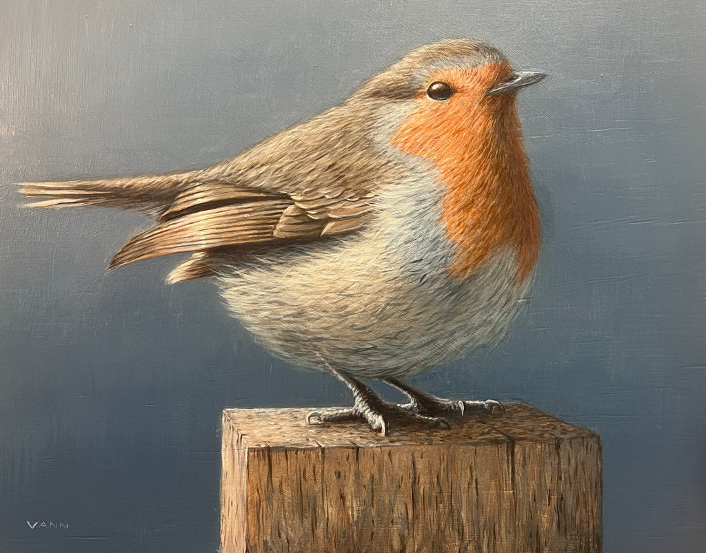 “Plump Robin”