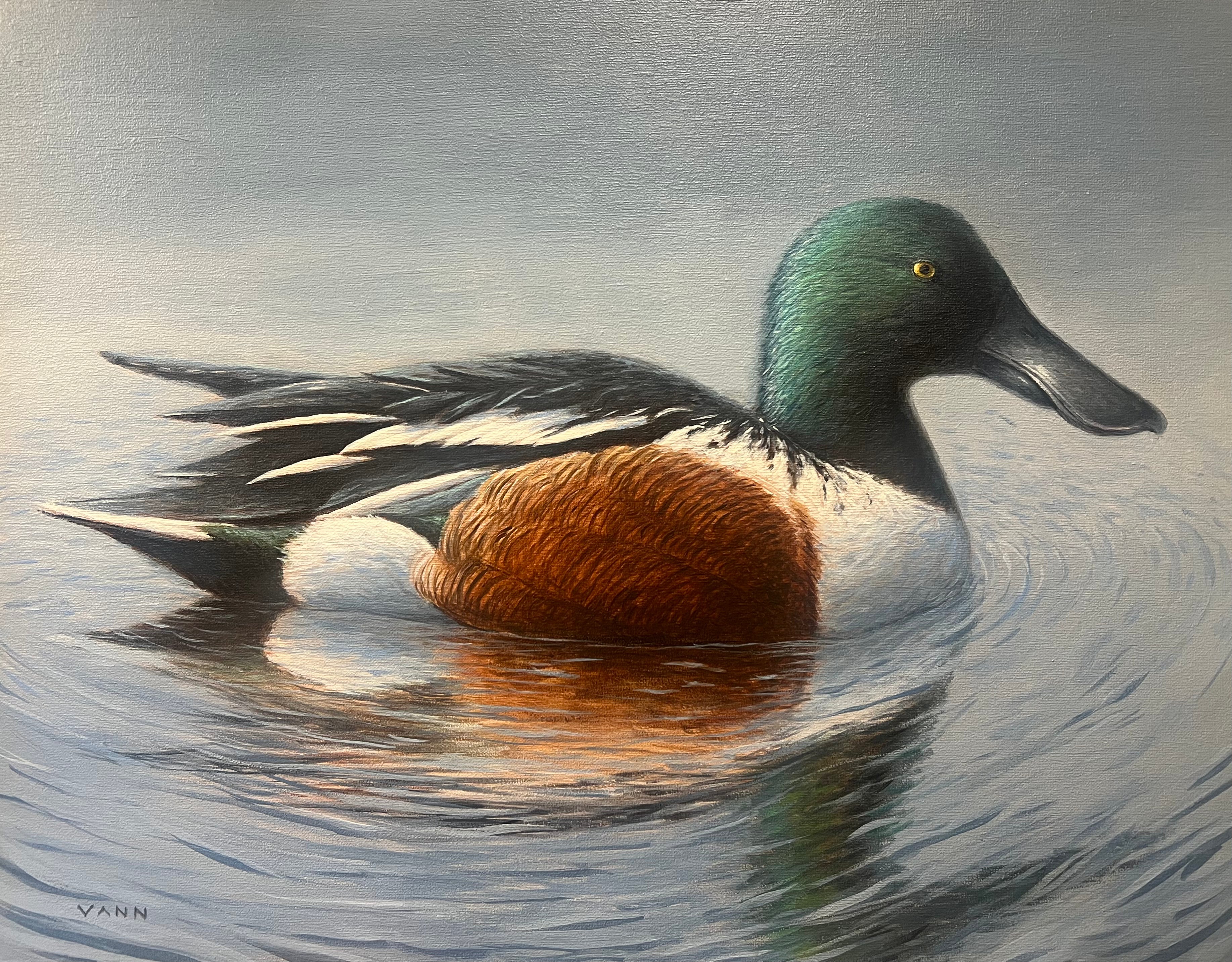 "Shoveler"