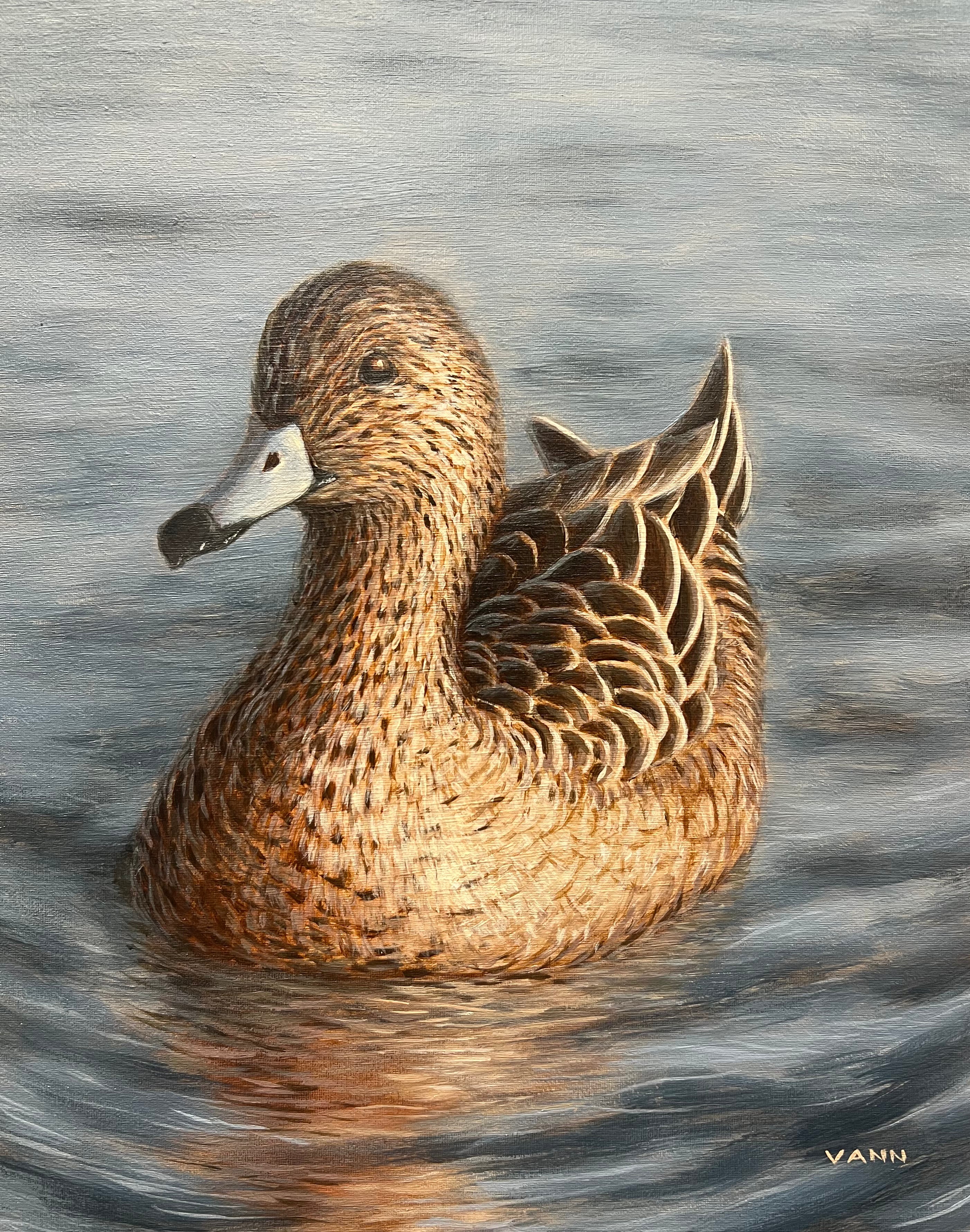 “Wigeon”