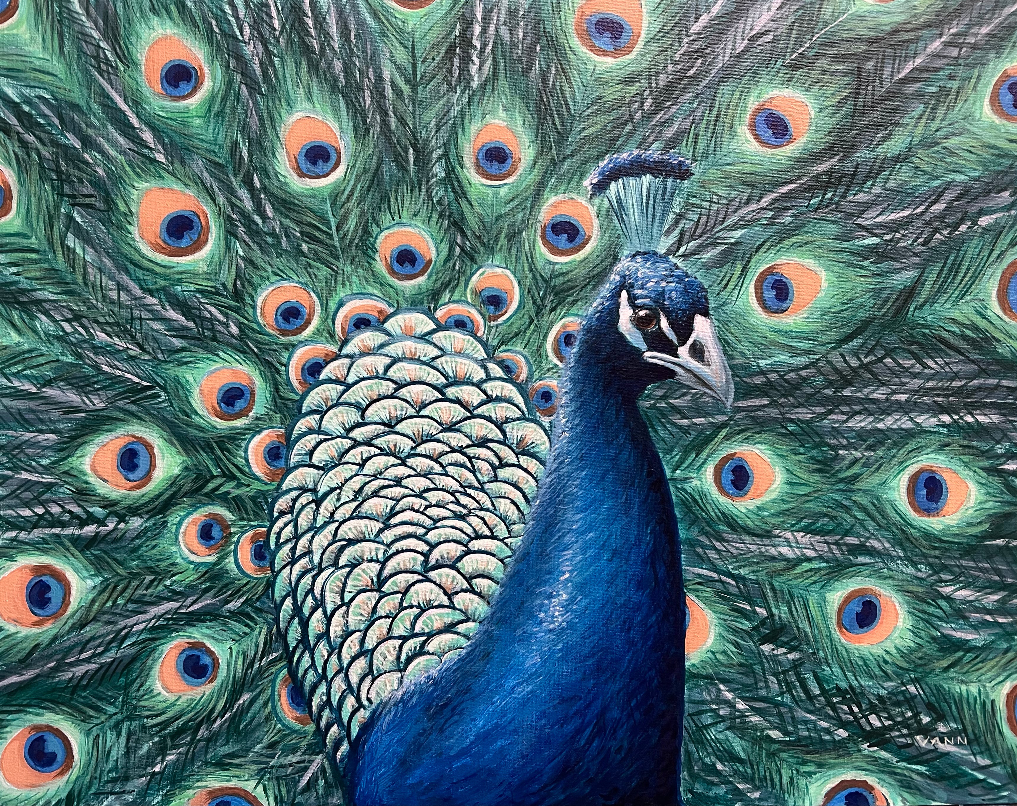 "Disco Chicken"